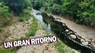 Un GIRO per i Navigli a riprendere FAUNA