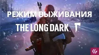 The Long Dark режим выживания