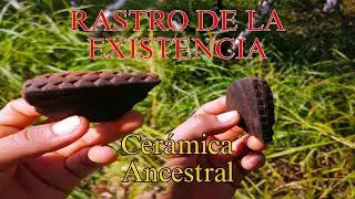 Encontré Piezas de Cerámicas Antiguas  de 100 años / Amazonía Ecuador 2024 || Natural Force