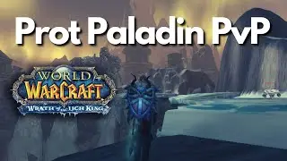 This is why i rolled Prot Paladin | Prot Paladin WOTLK PvP