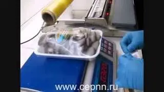 Правильная упаковка грибов вешенка