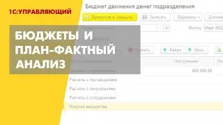 Бюджеты и план-фактный анализ