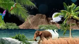 Nature Video Background/ Background Animation Effects/ Black Background Effects Video/ Vfx Videos 3