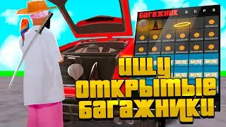 НАШЕЛ *ОТКРЫТЫЕ БАГАЖНИКИ* - НОВЫЙ ЗАРАБОТОК? ВОРУЮ ДОРОГИЕ ВЕЩИ из БАГАЖНИКОВ на АРИЗОНА РП!