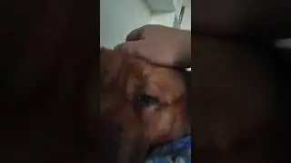 Утро хитропопой красотки