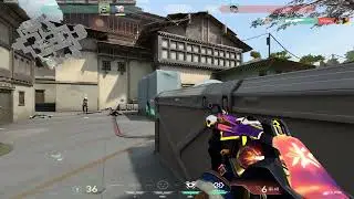 Champion 2024 Phantom Ace