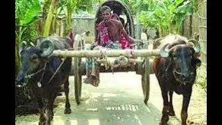 Ki Sundor Dokhina Bao=ছৈয়ের কাপড় গাড়িয়াল তুলি দেও রে................