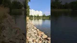 Пруд в Новокусково