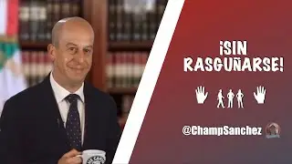 SIN RASGUÑAR