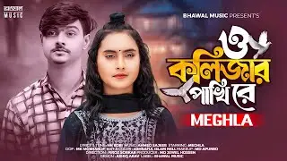 O Kolizar Pakhi Re | ও কলিজার পাখি রে | Meghla | Khondokar Rashed | Tiktok Viral Song 2024