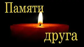 Память Надежды Костиной