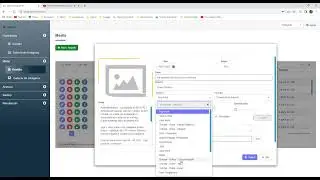 Media Organiser - Capture Video from Youtube url