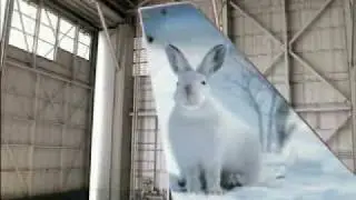 Frontier Airlines Commercial #1
