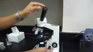 Mrs D Mrs K - How to Use a Microscope