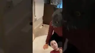 Хозяин надел маску кота и напугал кошек!🙀 