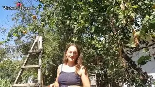 Наш старый двор. Прошлая жизнь в Турции. Vlog 6