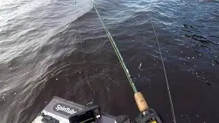 Pottu kalastaa-hauki jota luulin kuhaksi iski 7metrin vedestä