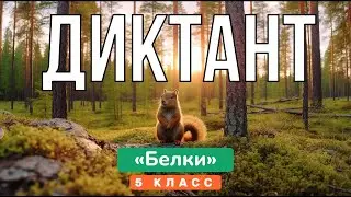 Напишите ДИКТАНТ ЗА 5 КЛАСС по русскому языку. 🐿 Текст «Белки» под диктовку