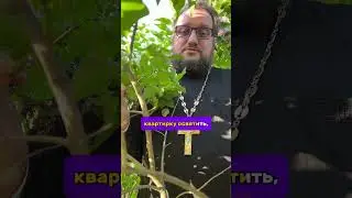 😱🔥ANSWERS TO YOUR QUESTIONS ABOUT ORTHODOXY🔥 