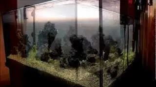 ,,Green passage,, by Bitanu D. oct. 2012