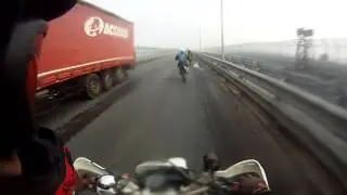 Ежик в тумане