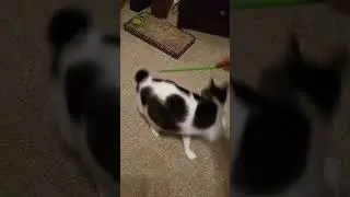 bbbbbbbb