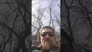 Боевой антракт