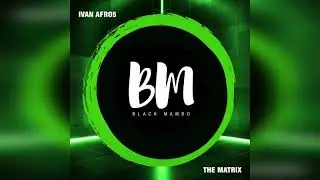 Wesley LS & Ivan Afro5  - The Matrix