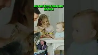 Are dogs better than cats?