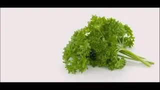 Parsley Is Natural Treatment For Dry Hair Other Benefits How It Works