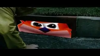woah. (OFFICIAL TRAILER)