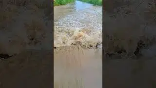 jaga g lagane ki Dunia nahi #nature #shortsviral #beautiful #shorts #shortsvideo #trending