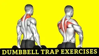 10 Best Dumbbell Trap Exercises
