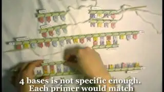 This is how PCR works