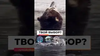 Твой выбор Камчатка ?
