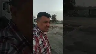 1 июня 2024 г.