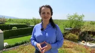 HDZ 07 2023 Intenzívne strešné záhrady
