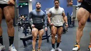 Building  Massive Quads with Roy Benitez | Full Workout!