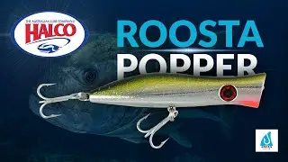 Halco roosta popper 135mm - 49gm @HalcoTackle  #popper #halco #popping #halcopopper #fishingvideo