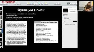 Вебинар 2 по Слою ШАО ИН. Канал Почек. Китайская медицина.