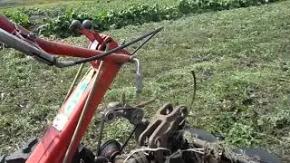 Выходим на третий сенокос. Работаем с мотоблоком Агро. Обзор работы.