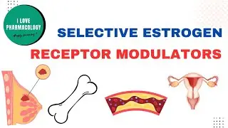 Selective Estrogen Receptor Modultors