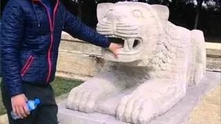 ŞU GÖNLÜME ATEŞ DÜŞTÜ ASİ KARA BELA