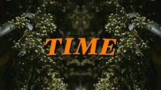 time: a photo essay 📷