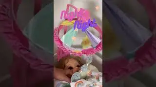 Doll's Nap-time  💜 
