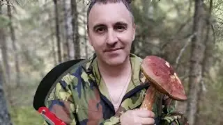 Грибалка на Вятке в конце августа 2024 г. где-то в Кирово-Чепецком районе.