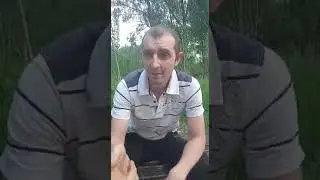Конкурс номер десять. Порядочный штемп.