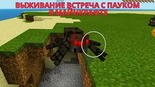 Выживание встреча с пауком в майн Крафте