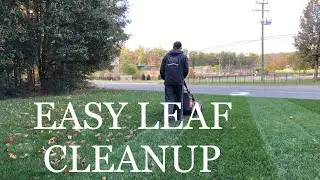 EASY FALL LEAF CLEANUP  // Iron app RESULTS