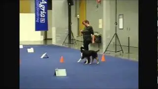 Fendi Rallylydnad MyDog, skyltar